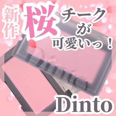 ブラーフィニシュブラッシャー/Dinto/パウダーチークを使ったクチコミ（1枚目）