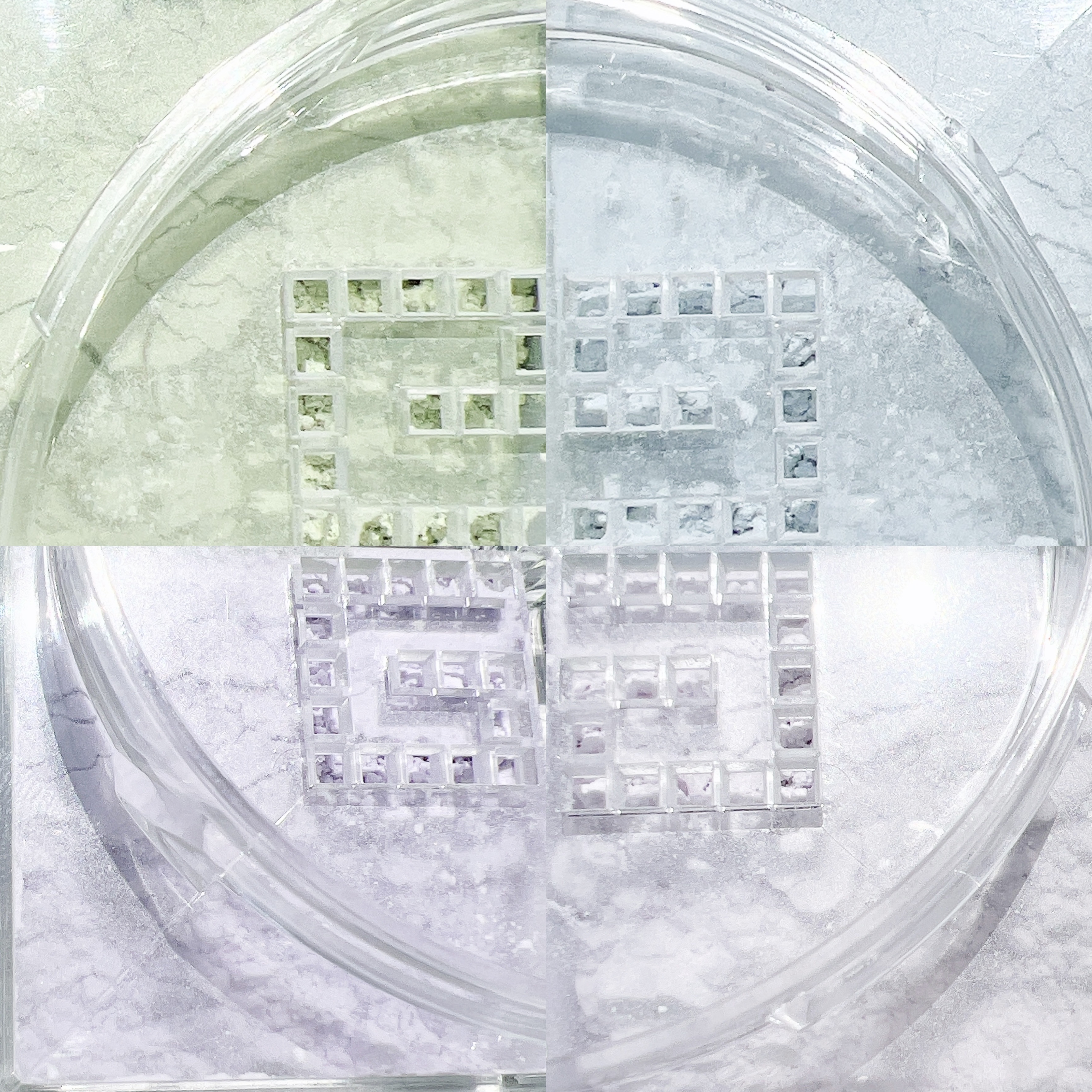 プリズム・リーブル/GIVENCHY/ルースパウダーを使ったクチコミ（2枚目）