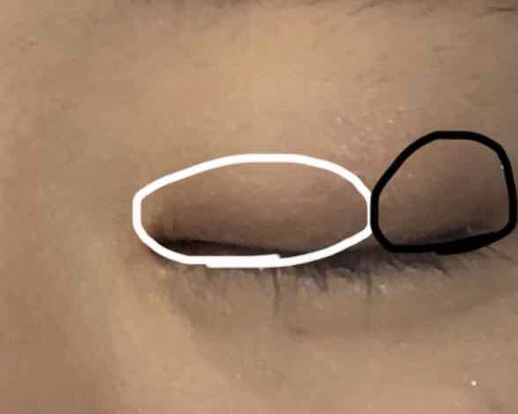 【旧品】パーフェクトスタイリストアイズ/キャンメイク/アイシャドウパレットを使ったクチコミ(4枚目)