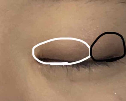 【旧品】パーフェクトスタイリストアイズ/キャンメイク/アイシャドウパレットを使ったクチコミ(4枚目)