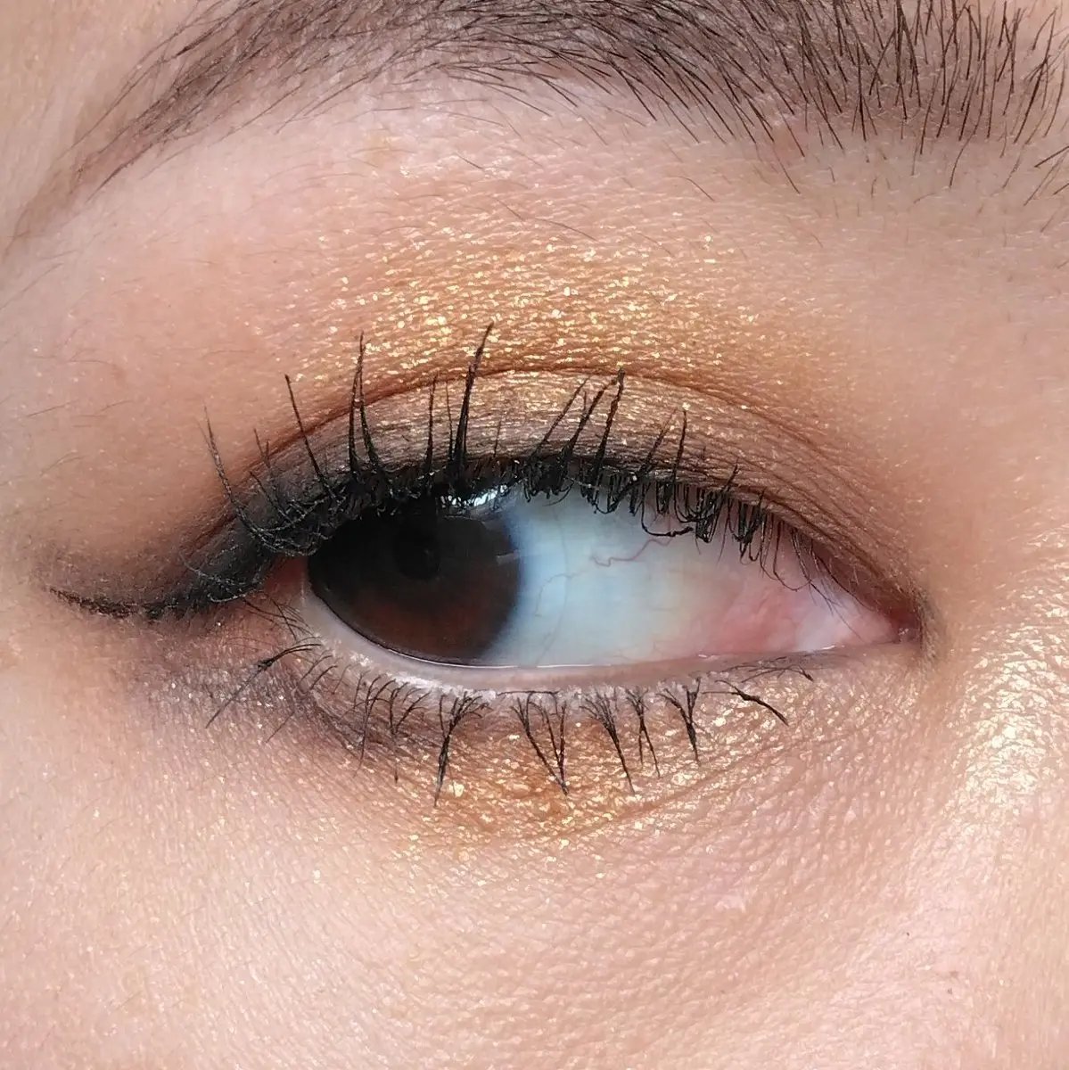 NARS ラグナ アルティメイトフェイスパレット ラグナ アルティメイト フェイスパレット（アイシャドウ）｜NARS