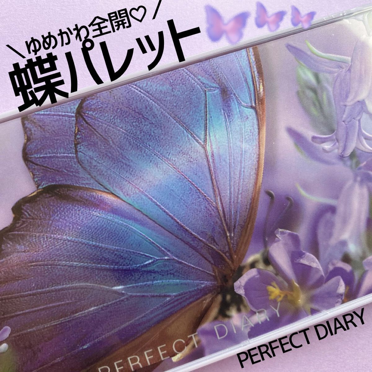 エクスプローラ12色 動物アイシャドウパレット/PERFECT DIARY/アイシャドウパレットを使ったクチコミ(1枚目)