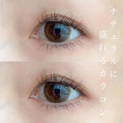 1DAY Refrear elebelle/Refrear/ワンデー(1DAY)カラコンを使ったクチコミ(1枚目)