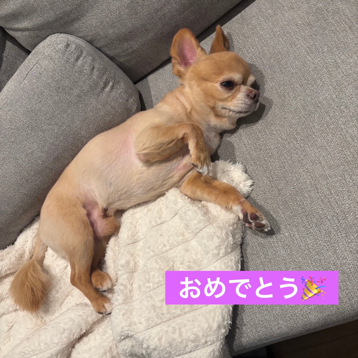 ヴェルニ ディオリフィック/Dior/マニキュアを使ったクチコミ(5枚目)