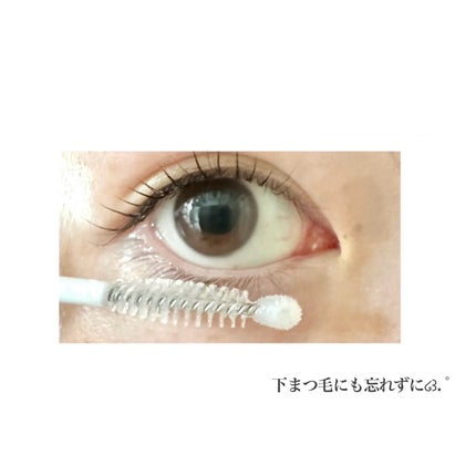 アイラッシュセラム/Bio Lucia(ビオルチア)/まつげ美容液を使ったクチコミ(5枚目)