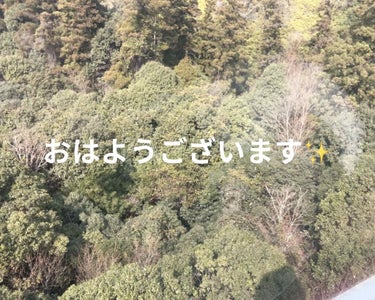 おはようございます！柊です！


今日は結構ぐっすり寝れた〜(*´ω｀*)


いつも通り寝付き悪かったからYouTubeで焚き火のゆったり動画とかみてたらいつの間にか寝てた〜(*˘꒳​˘*)


やっ