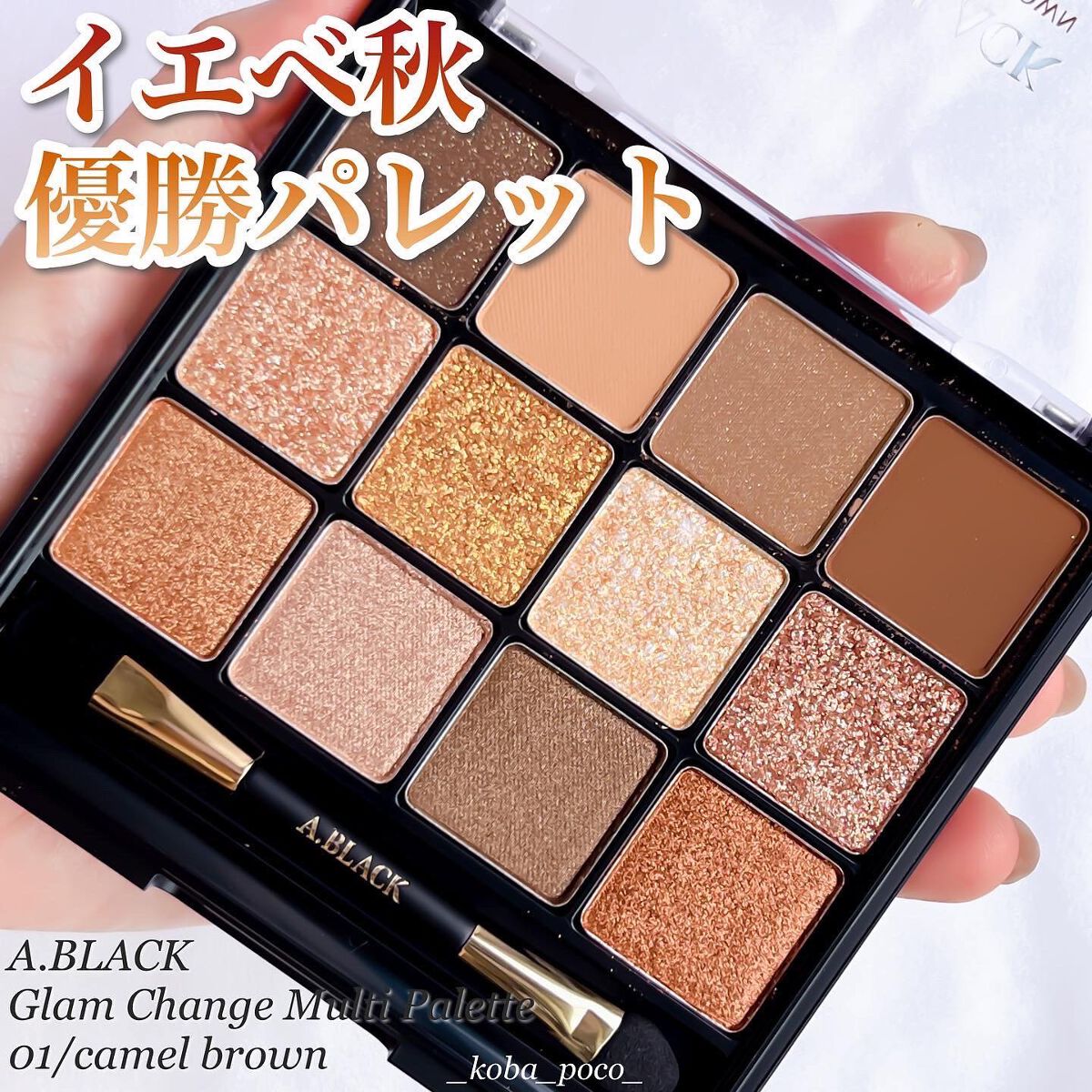 グラムチェンジマルチパレット 01 キャラメルブラウン/A.BLACK/マルチパレットを使ったクチコミ（1枚目）