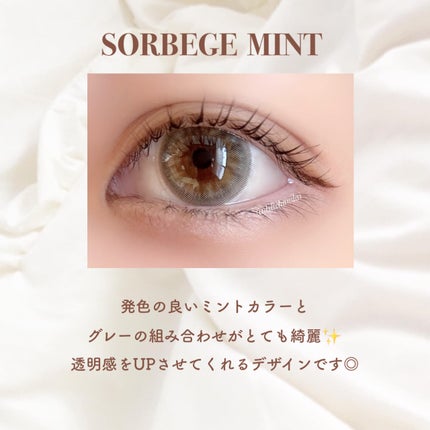 カラーマジョリティー/カラーマジョリティー/カラーコンタクトレンズを使ったクチコミ(4枚目)