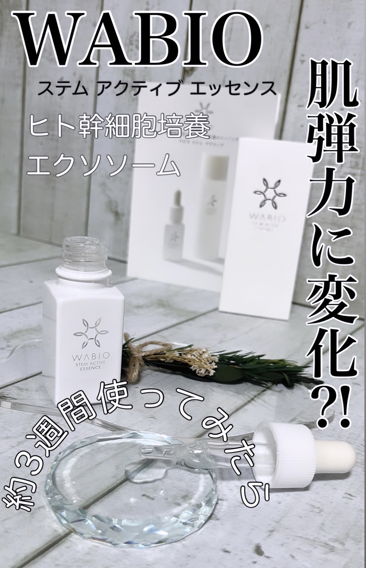 WABIO ワビオ ステム アクティブ エッセンス 美容液 20ml×1個 試してみたWABIO ステム アクティブ エッセンスの効果・肌質別の