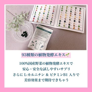 nagomi KOUSO 90粒/renaTerra/健康サプリメントを使ったクチコミ（3枚目）