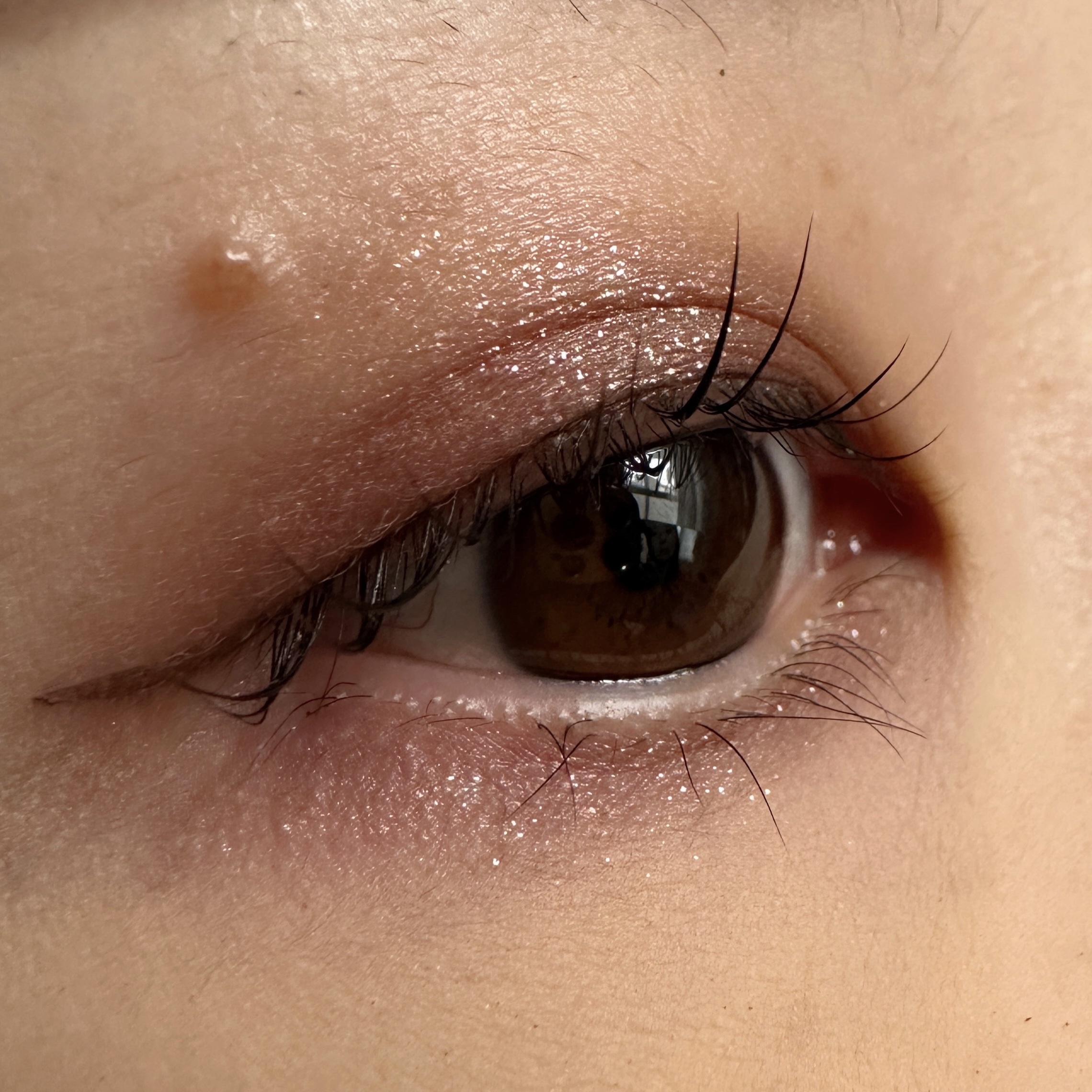 エクシア アイカラー カンテット/ALBION/アイシャドウパレットを使ったクチコミ（2枚目）