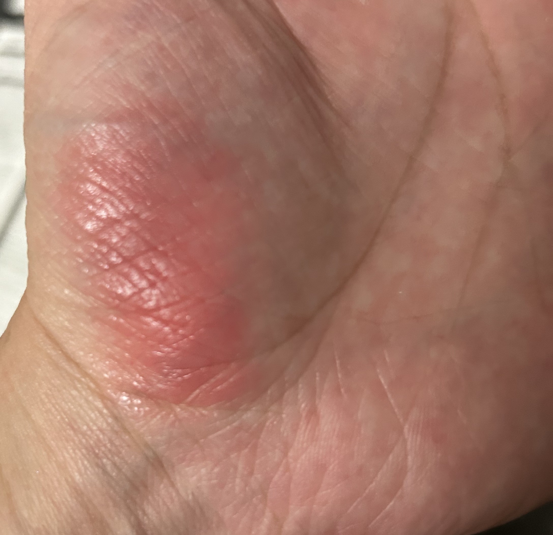 アイデイト ミニマルパレット 02/IDATE/ジェル・クリームアイシャドウを使ったクチコミ（2枚目）