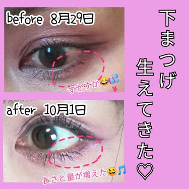 FEG  Eyelash  Enhancer/FEG/まつげ美容液を使ったクチコミ（2枚目）