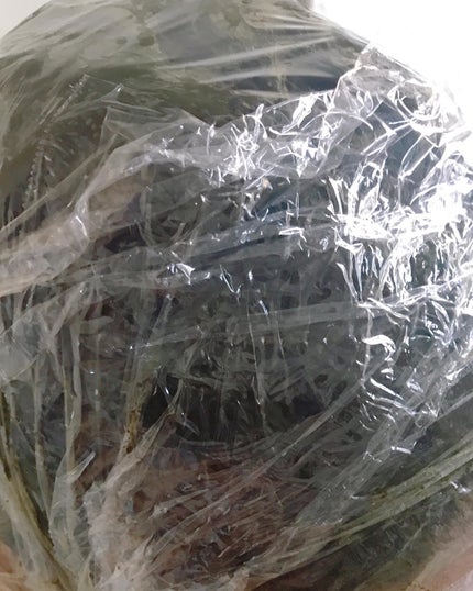 国際オーガニック認証ヘナ「ヘナ5.0」/Henna5.0/ヘアカラーを使ったクチコミ(9枚目)