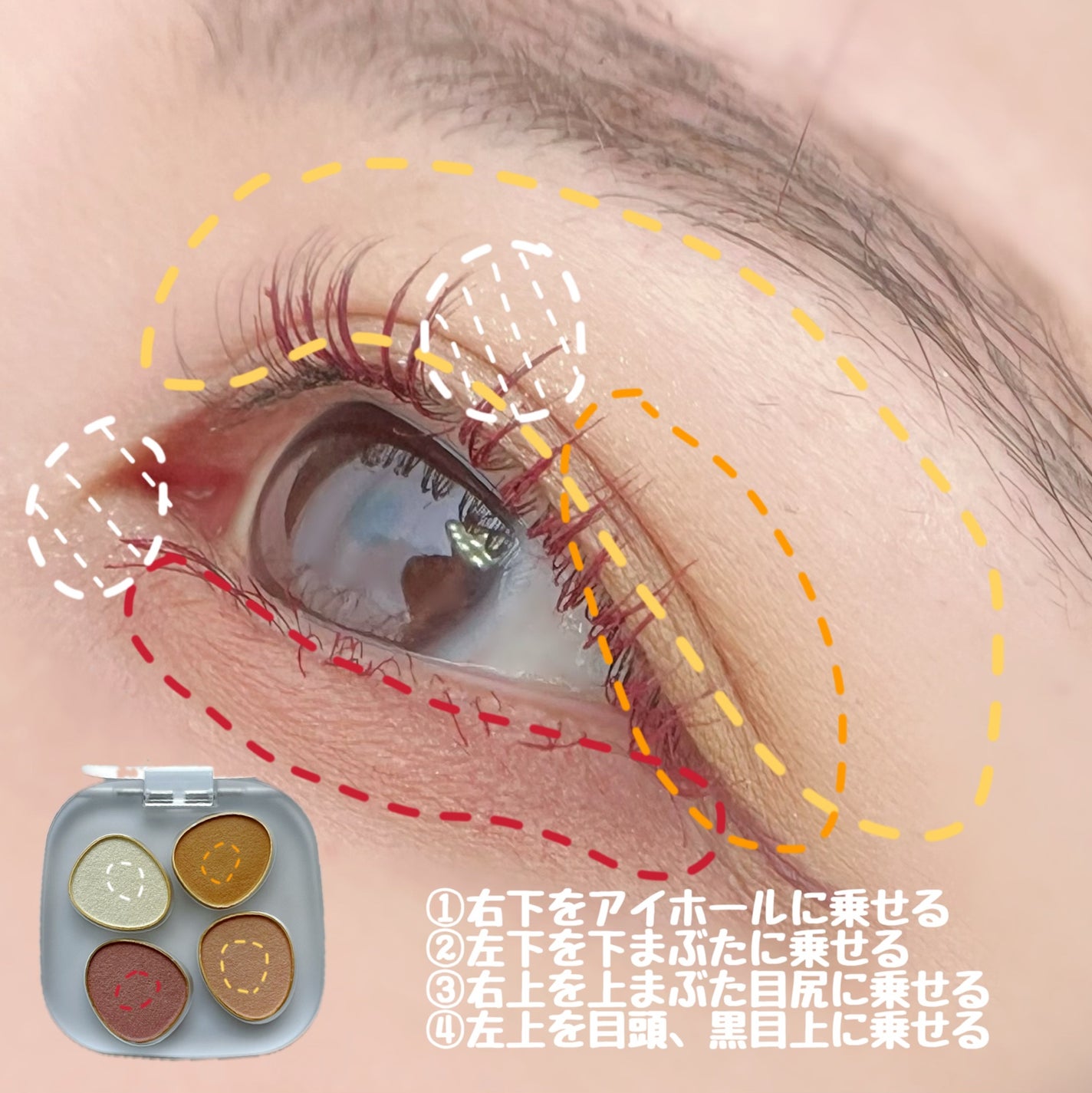 トーン ペタル フロート アイパレット/to/one/アイシャドウパレットを使ったクチコミ(2枚目)