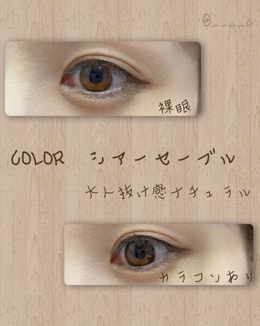 ReVIA 1month [COLOR] Sheer Sable（シアーセーブル）/ReVIA/１ヶ月（１MONTH）カラコンを使ったクチコミ（2枚目）