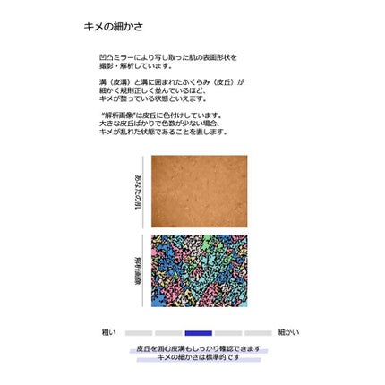 skin analysis kit(肌診断キット)/COCO.skin/その他スキンケアを使ったクチコミ(6枚目)