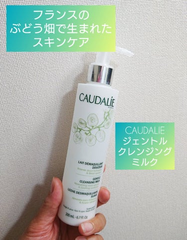 コーダリー GENTLE CLEANSING MILKのクチコミ「CAUDALIE
GENTLE CLEANSING MILK

あまり濃いメイクはしないんです.....」（1枚目）