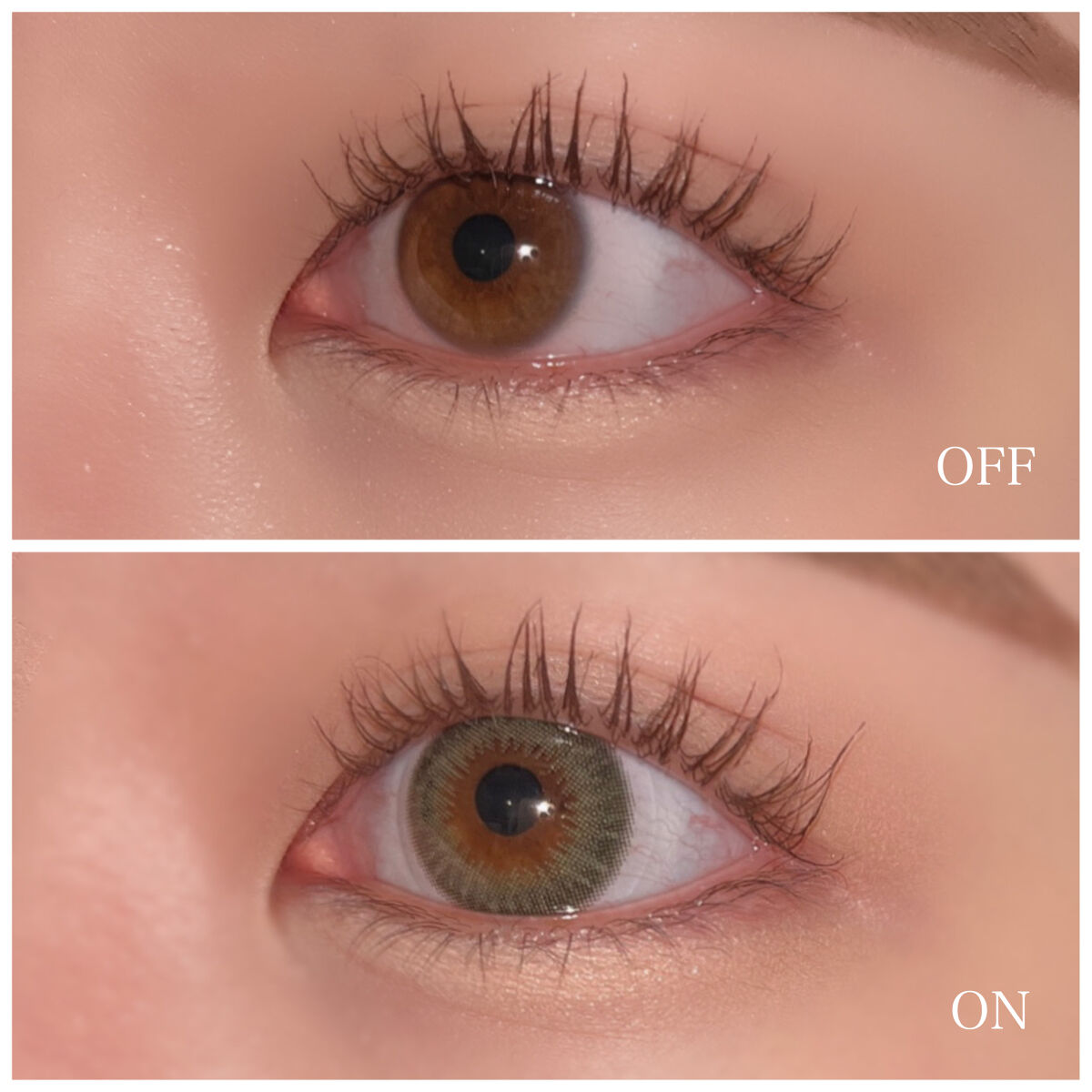 feliamo 1day/feliamo/ワンデー（１DAY）カラコンを使ったクチコミ（3枚目）