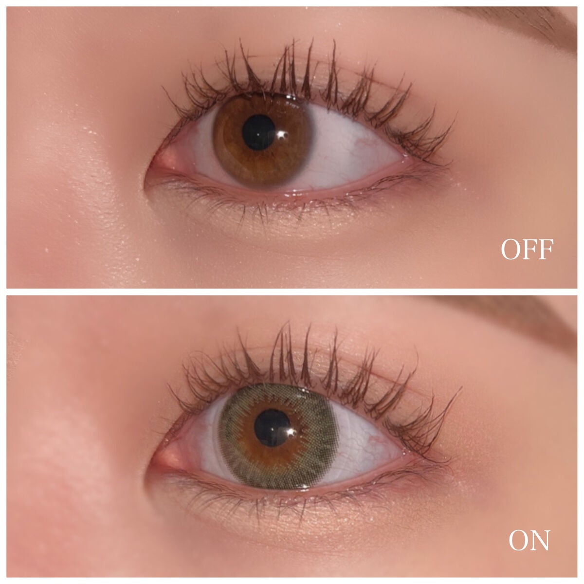 feliamo 1day/feliamo/ワンデー(1DAY)カラコンを使ったクチコミ(3枚目)