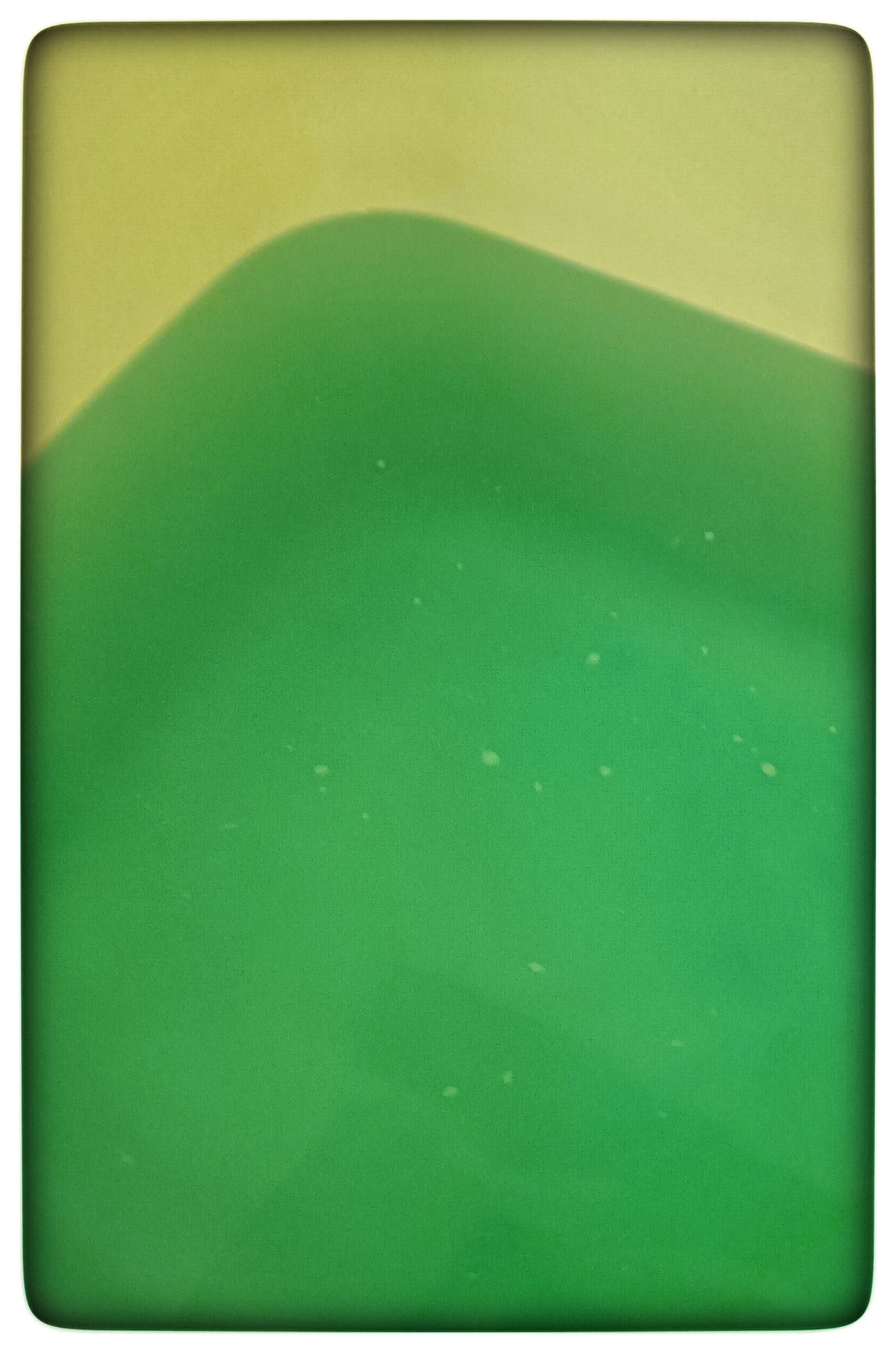 塩の湯森林の香り/爆汗湯/炭酸系入浴剤を使ったクチコミ（3枚目）