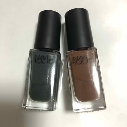 ネイルホリック Earth color/ネイルホリック/マニキュアを使ったクチコミ(1枚目)