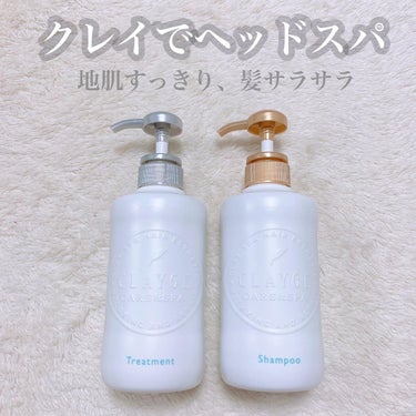 シャンプー／トリートメント SN　さらさら シャンプー本体500ml/CLAYGE/シャンプー・コンディショナーを使ったクチコミ（1枚目）