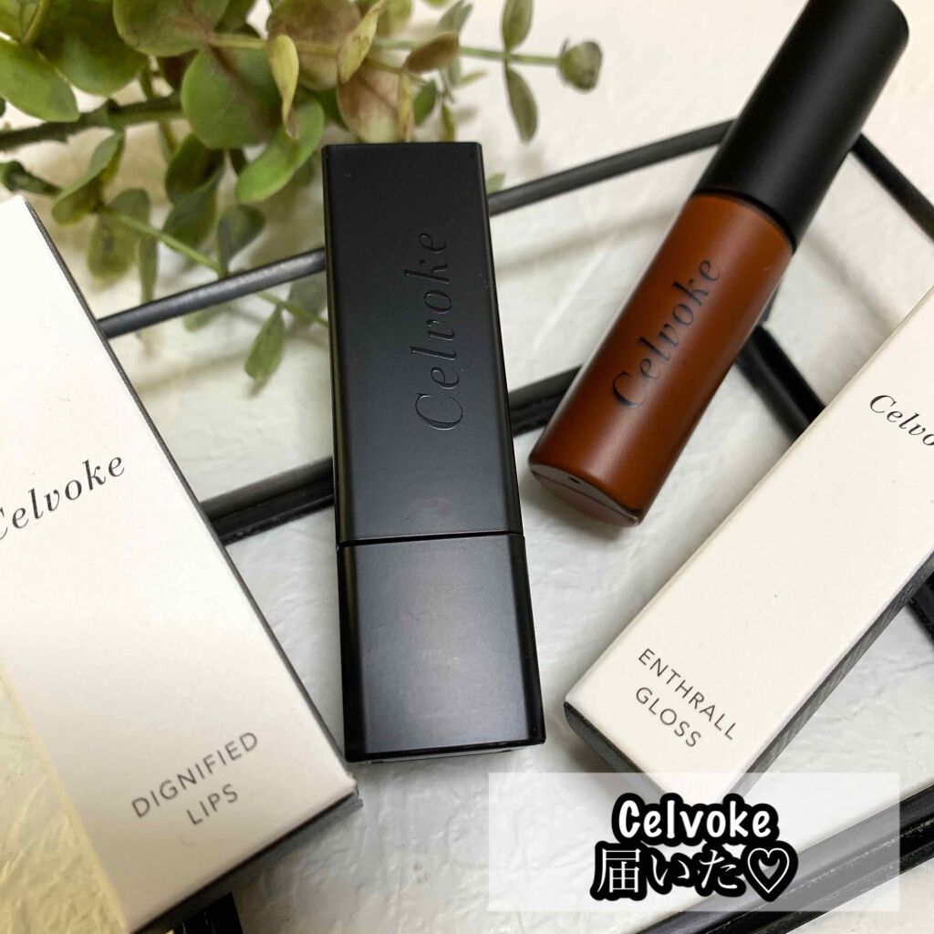 ディグニファイド リップス/Celvoke/口紅を使ったクチコミ（1枚目）