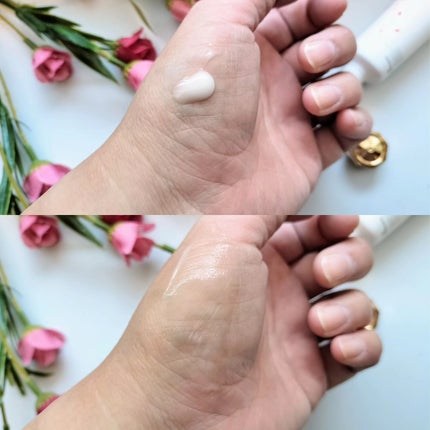 SE:CRUNO ハンドクリーム アルカナヤエカ327 のクチコミ「シークルーノ様のプレゼント🎁キャンペーンにて
頂き使用しました♡
◎シークルーノ
ハン.....」(3枚目)