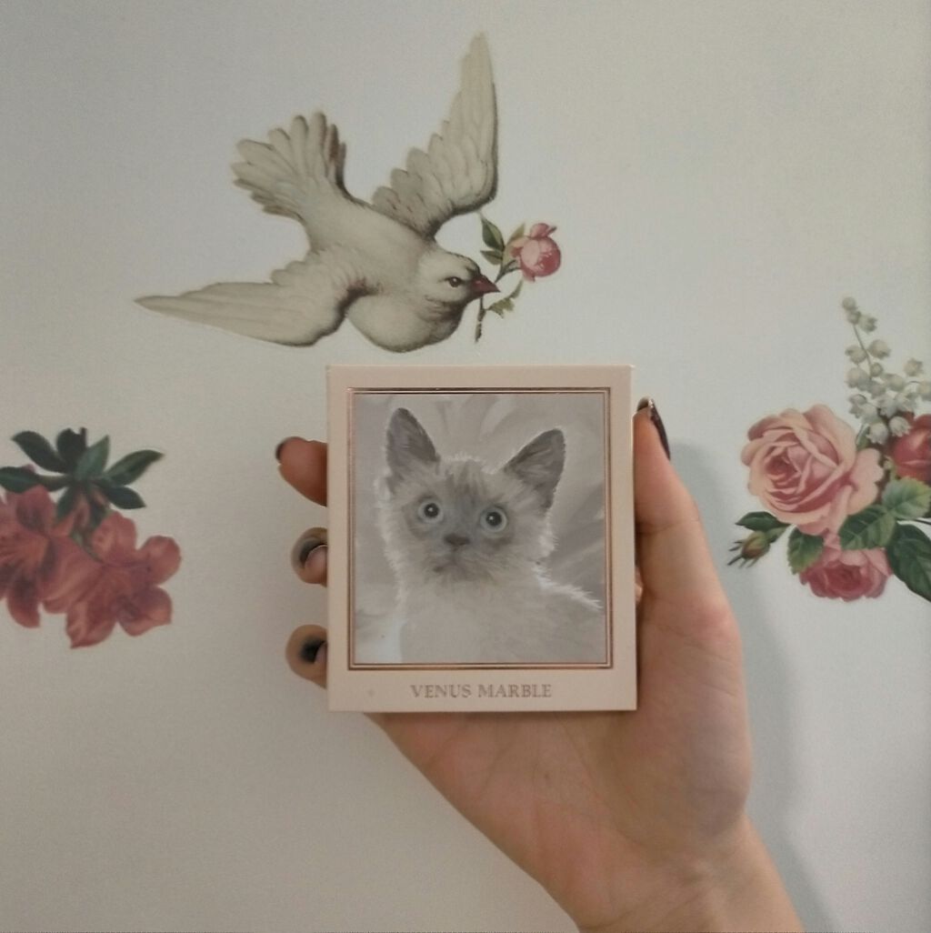 Venus Marble アイシャドウキャットシリーズ/Venus Marble/アイシャドウパレットを使ったクチコミ(1枚目)