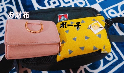 モイストラボフローラ スキンコントロール メッシュファンデーション/Moist Labo/クッションファンデーションを使ったクチコミ(2枚目)