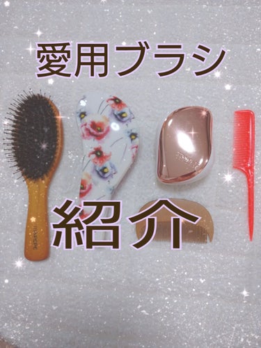 コンパクトスタイラー/TANGLE TEEZER/ヘアブラシを使ったクチコミ（1枚目）