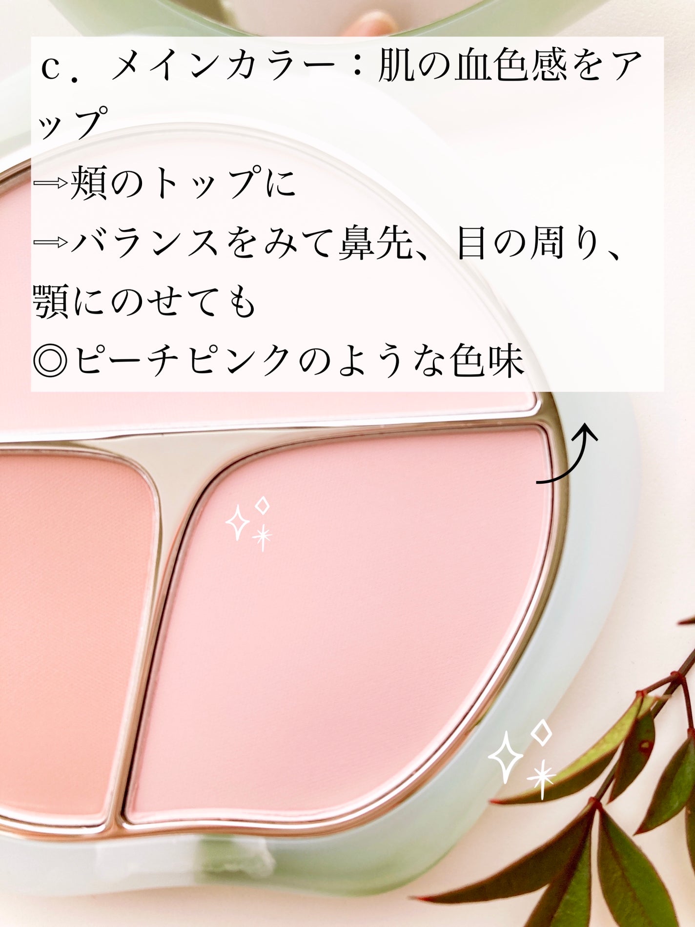 TIMAGE  3色チークパレット/TIMAGE/パウダーチークを使ったクチコミ(5枚目)