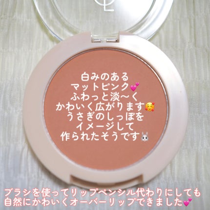 ピュアブラッシャー パフ付き/フォレンコス/パウダーチークを使ったクチコミ(6枚目)