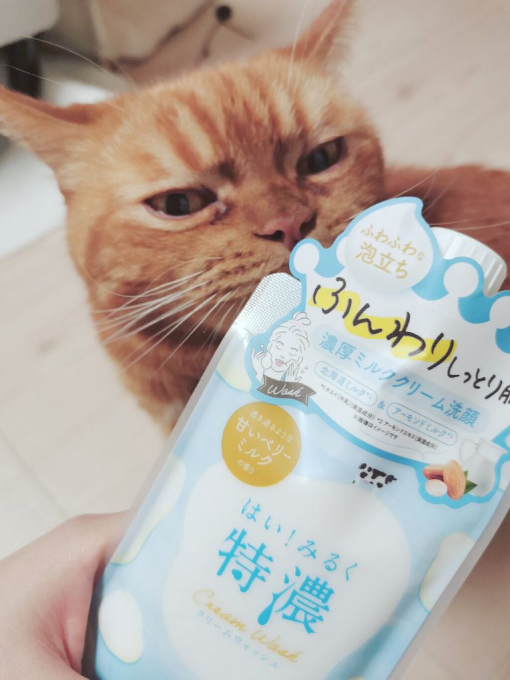 はい!みるく特濃 クリームウォッシュ/ロゼット/洗顔フォームを使ったクチコミ(1枚目)