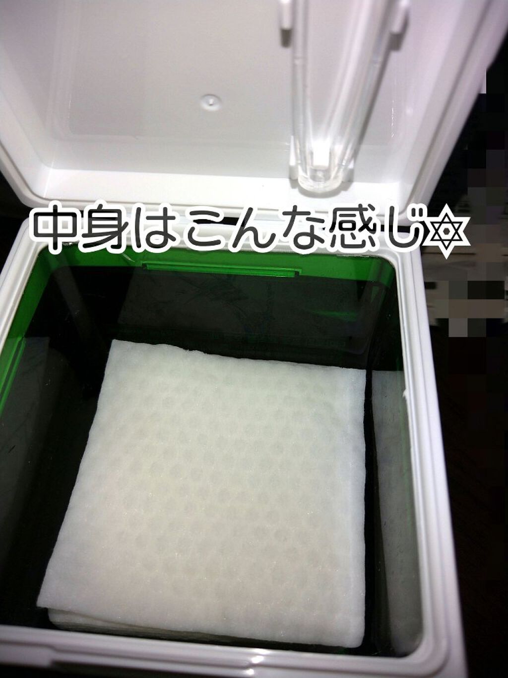 プロ トラブル ポア パッド/Dermatory/トナーパッドを使ったクチコミ（2枚目）