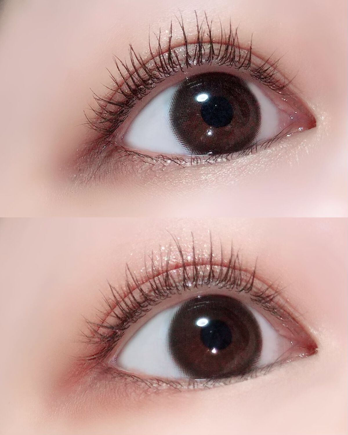 トラ十色アイシャドウパレット/COLORKEY/アイシャドウパレットを使ったクチコミ(8枚目)