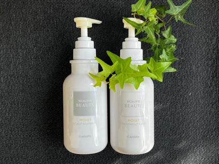 スカルプD ボーテ 薬用スカルプシャンプー(モイスト)/薬用トリートメントパック(モイスト)/アンファー(スカルプD)/市販シャンプーを使ったクチコミ(1枚目)