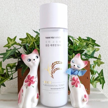 ライス ピュア エッセンシャル トナー/THANK YOU FARMER/化粧水を使ったクチコミ(1枚目)