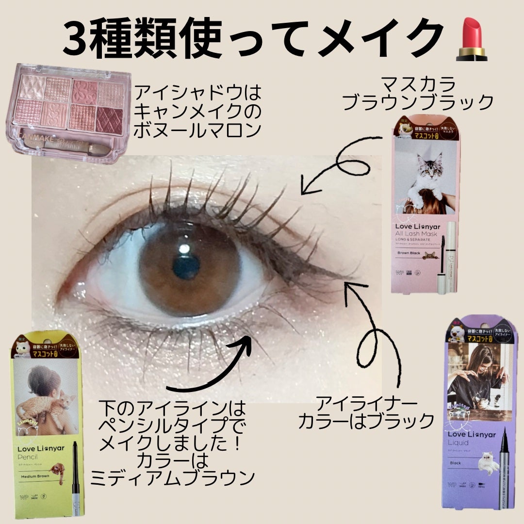 ラブ・ライにゃ~ リキッドアイライナーR4/ラブ・ライナー/リキッドアイライナーを使ったクチコミ(2枚目)