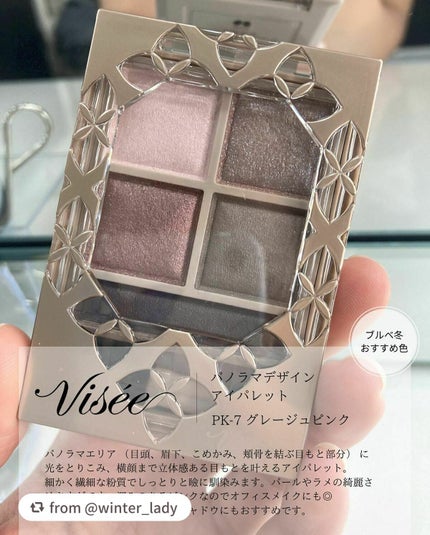 パノラマデザイン アイパレット/Visée/アイシャドウパレットを使ったクチコミ(2枚目)