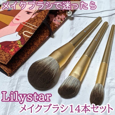 lilystar メイクブラシ 14本セット/Lily star/メイクブラシを使ったクチコミ（1枚目）