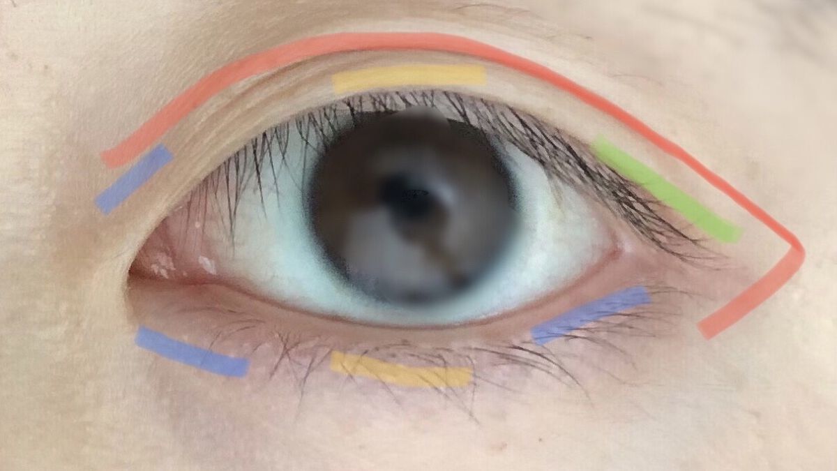 シルキースフレアイズ/キャンメイク/アイシャドウパレットを使ったクチコミ（3枚目）