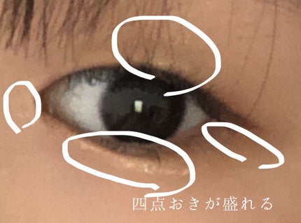 グロウリキッドライナー/CEZANNE/リキッドアイライナーを使ったクチコミ(5枚目)