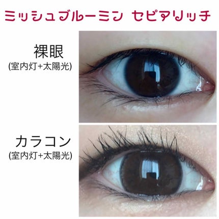 ミッシュ ブルーミン ワンデー (クォーターヴェール シリーズ/イノセント シリーズ)/ミッシュブルーミン/ワンデー(1DAY)カラコンを使ったクチコミ(2枚目)