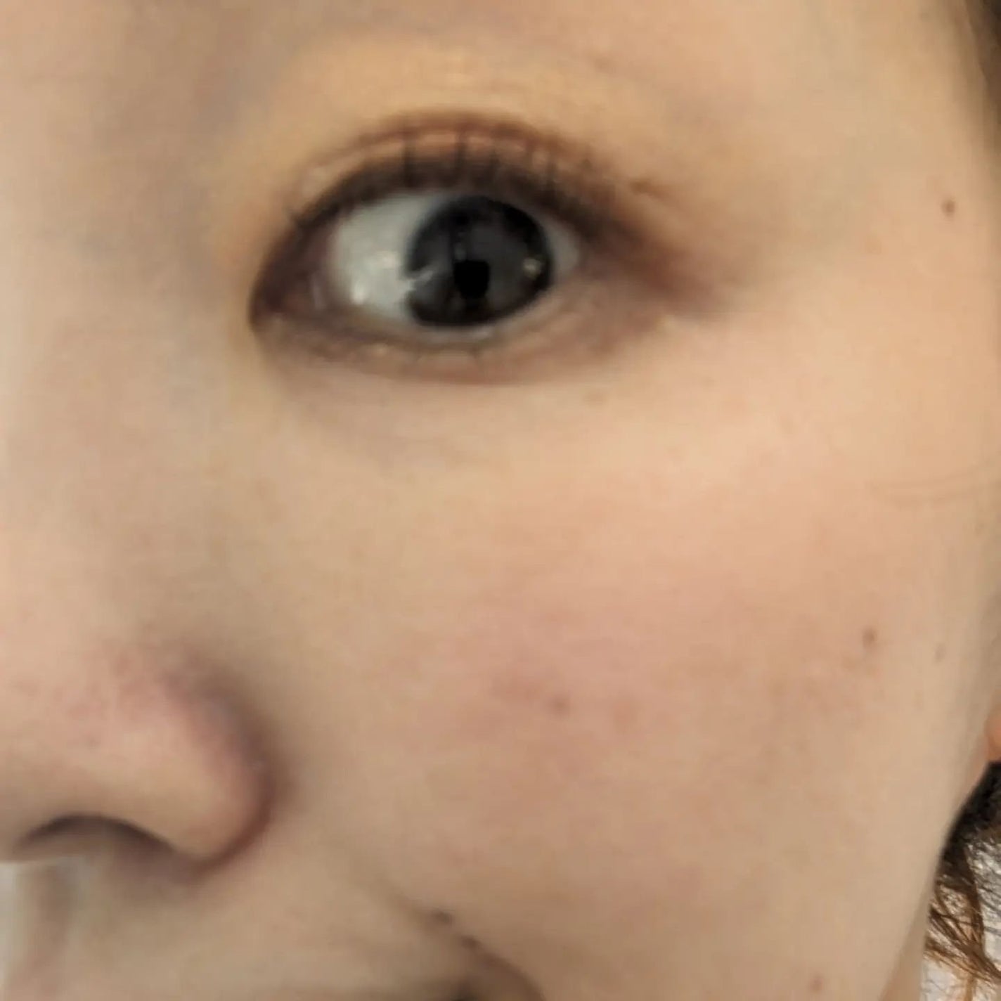 シアーブラッシュ /rafuna/パウダーチークを使ったクチコミ(9枚目)