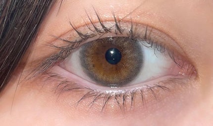 MOLAK 1day/MOLAK/ワンデー(1DAY)カラコンを使ったクチコミ(5枚目)