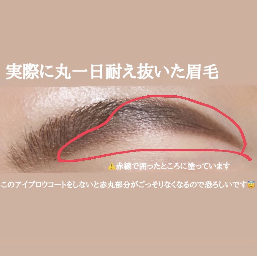 エバビレーナ アイブローコート/DAISO/アイブロウコートを使ったクチコミ（2枚目）