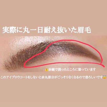 エバビレーナ アイブローコート/DAISO/アイブロウコートを使ったクチコミ(2枚目)