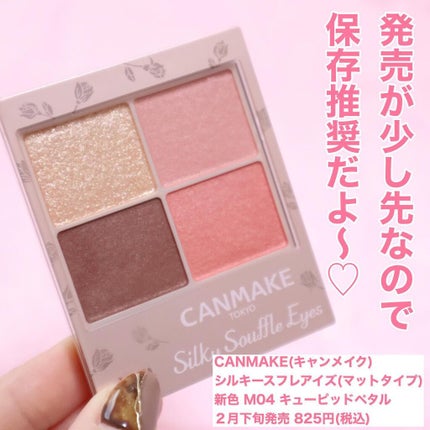 シルキースフレアイズ(マットタイプ)/キャンメイク/アイシャドウパレットを使ったクチコミ(7枚目)